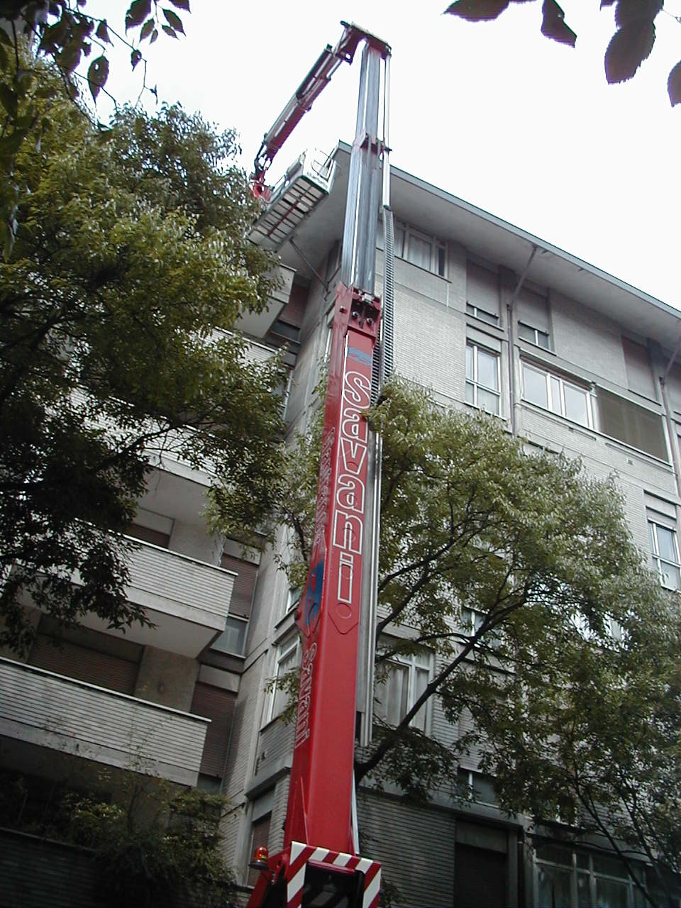 P1010006