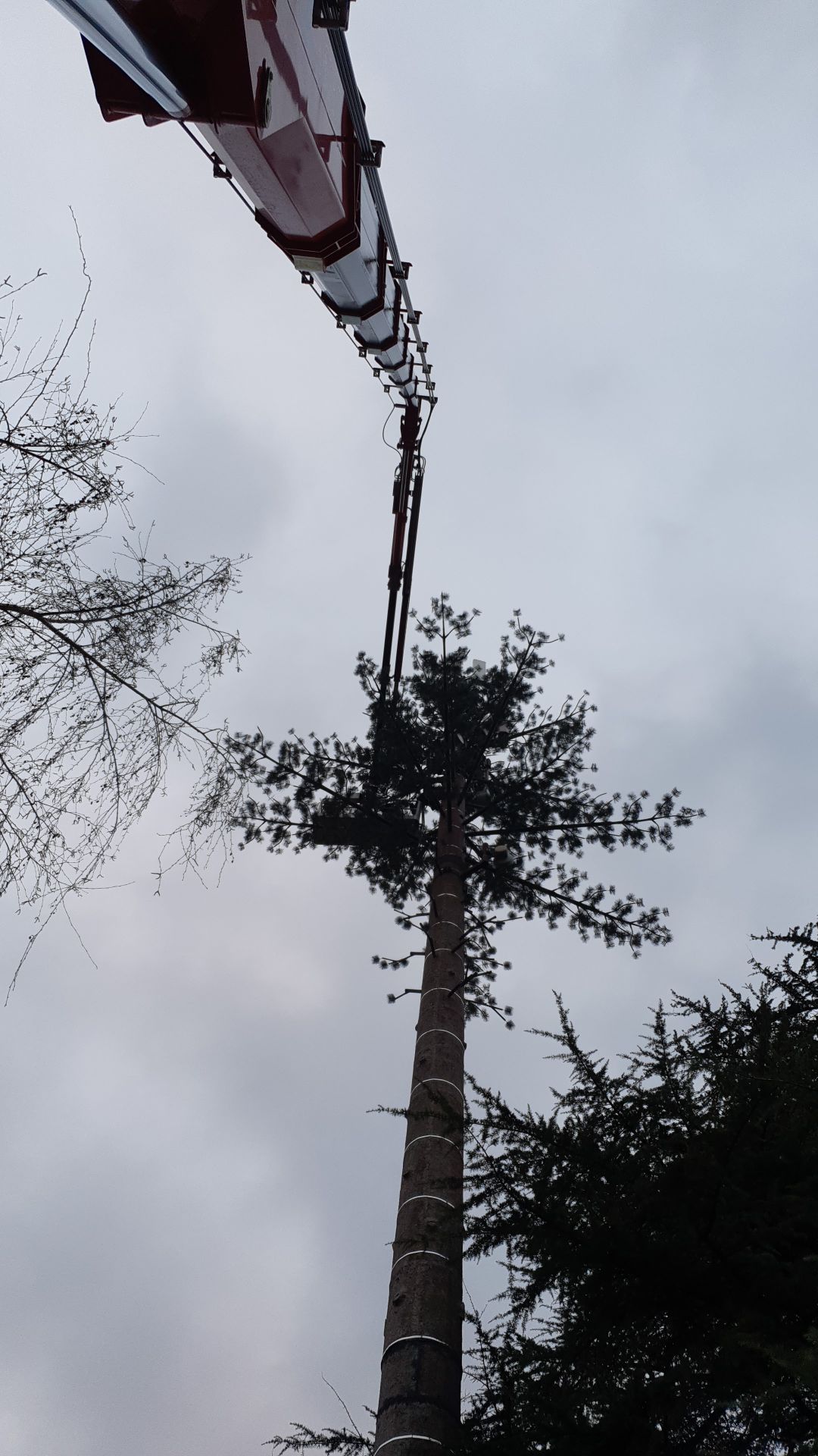 IMG-20210220-WA0024